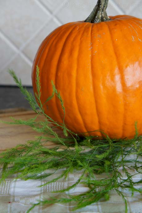 The best looking pumpkin ever