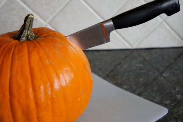 Murdering the pretty halloween pumpkin