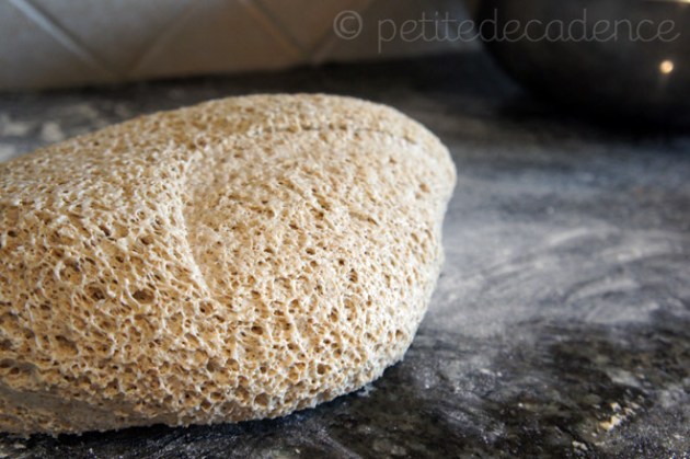 ryebread4 Rye and oatmeal dough