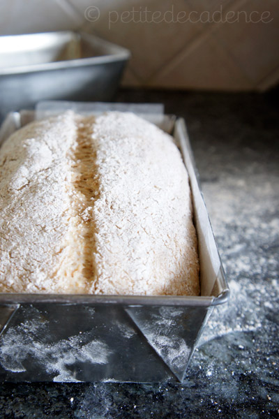 piloncillosourcreambread1